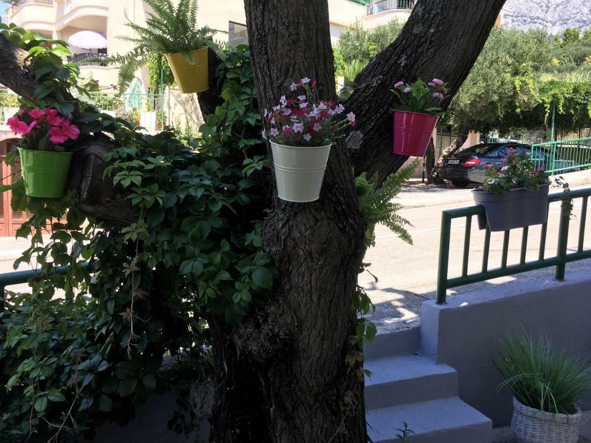 Apartmani Marko Tučepi Exterior foto